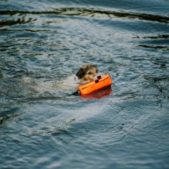 Julius K9 Harnais De Sécurité Multifonctionnel Pour Chiens -Trixie Soldes Magasin Motivador Multidummy Multifuncion 6478ac1b19b37 scaled