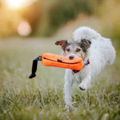 Julius K9 Harnais De Sécurité Multifonctionnel Pour Chiens -Trixie Soldes Magasin Motivador Multidummy Multifuncion para Perros 6478ac09249ca scaled