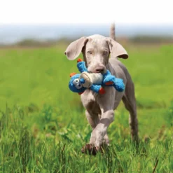 KONG Cross Knots Éléphant -Trixie Soldes Magasin NKX14E 2 20190319061516 20190319061622 1000x1000 62ea41fbed1b8