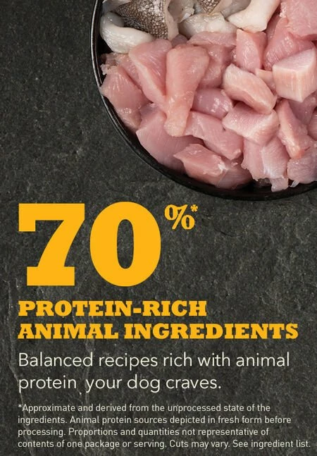 Acana Puppy And Junior 6 Acana Puppy And Junior – Image 4