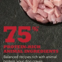 Acana Sport & Agility -Trixie Soldes Magasin NS ACANA Dog Ingredients SPORT 556x800 630f0427c65af