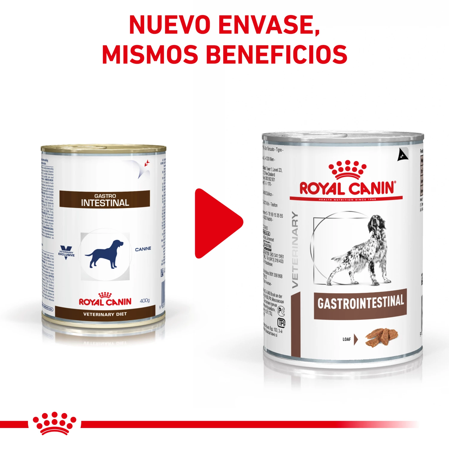 Royal Canin Nourriture Húemda Gastro-intestinal Canine 4 Royal Canin Nourriture Húemda Gastro-intestinal Canine – Image 2
