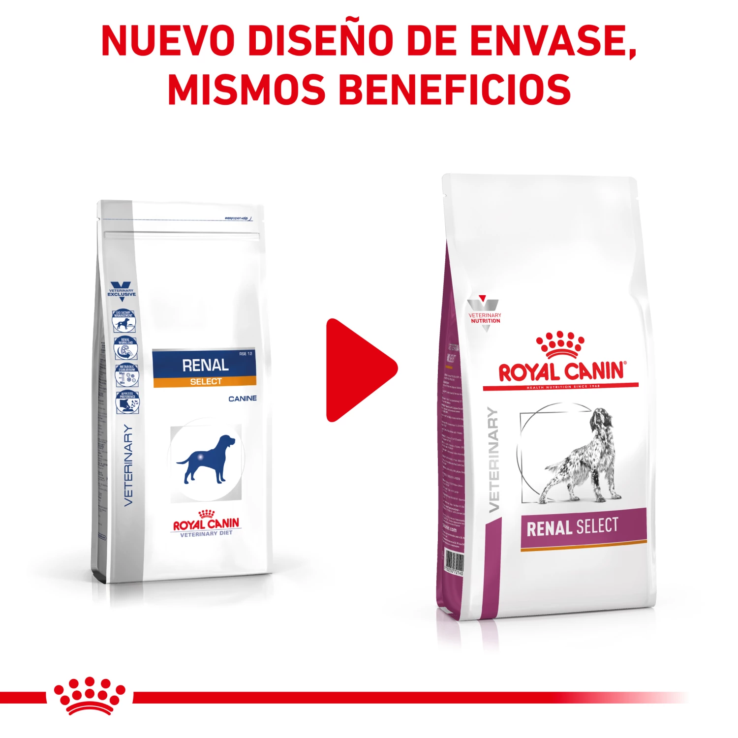 Royal Canin Nourriture Renal Select Canine 4 Royal Canin Nourriture Renal Select Canine – Image 2