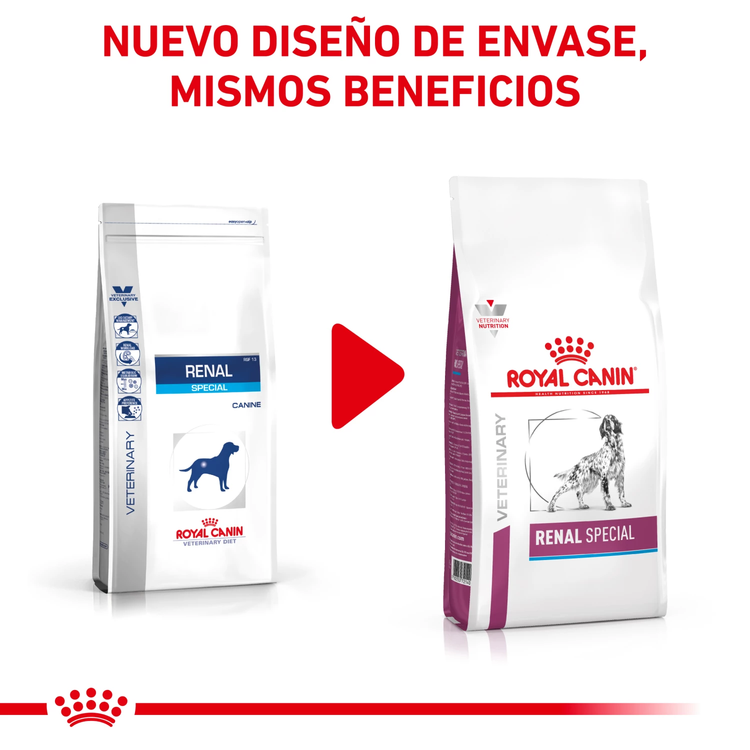 Royal Canin Nourriture Renal Special Canine 5 Royal Canin Nourriture Renal Special Canine – Image 3