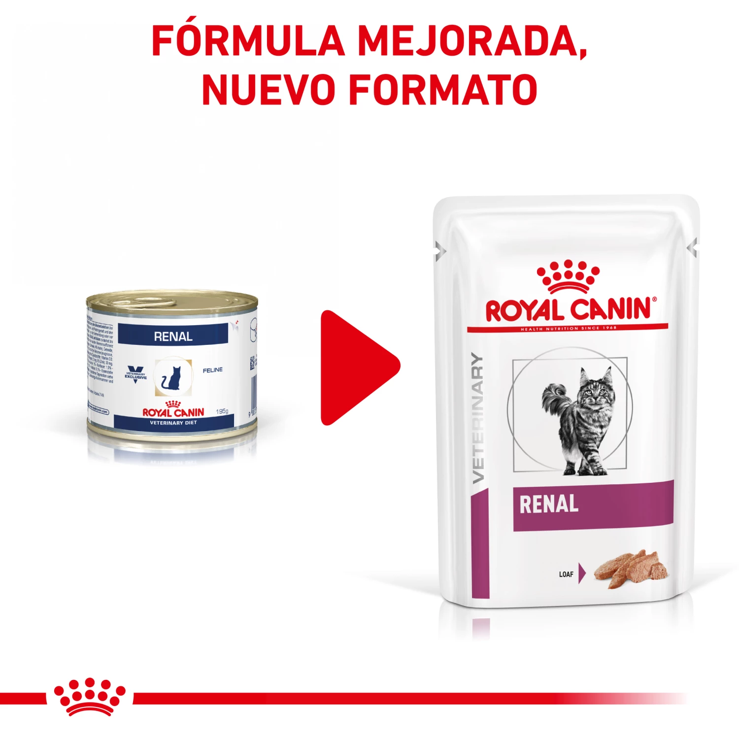 Royal Canin Renal Paté 4 Royal Canin Renal Paté – Image 2