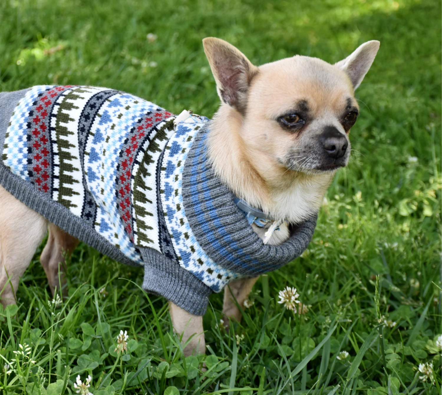 Nayeco Pull Tricoté En Forme D'arbre D'hiver 4 Nayeco Pull Tricoté En Forme D'arbre D'hiver – Image 2