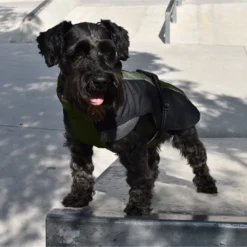 Nayeco Imperméable De Randonnée Vert -Trixie Soldes Magasin PE53004 14 C 63202b619a6e2