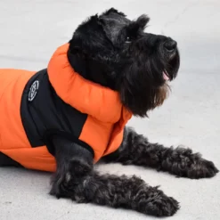 Nayeco Outing Jacket Orange -Trixie Soldes Magasin PE53116 24 C 63202ae751a78