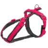 Trixie Trekking New Premium Fuchsia-Graph Harness 1 Trixie Trekking New Premium Fuchsia-Graph Harness -Trixie Soldes Magasin PHO PRO CLIP Premium 1997211 1 636293d4a460e