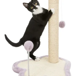 Trixie Planche à Gratter Pour Empreintes De Pas Junior -Trixie Soldes Magasin PHO PRO CAT CLIP 42931 1