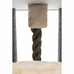 Trixie Gratte-pieds XXL Amadeus 20 Trixie Gratte-pieds XXL Amadeus -Trixie Soldes Magasin PHO PRO DET CLIP 44674 3