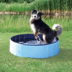 Trixie Piscine Pour Chiens