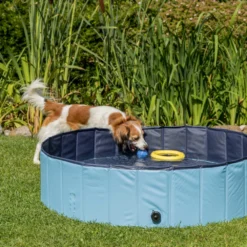 Trixie Piscine Pour Chiens -Trixie Soldes Magasin PHO PRO DOG 39480 39481 39482 39483 5