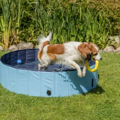 Trixie Piscine Pour Chiens -Trixie Soldes Magasin PHO PRO DOG 39480 39481 39482 39483 7