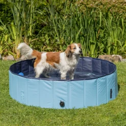 Trixie Piscine Pour Chiens -Trixie Soldes Magasin PHO PRO DOG 39480 39481 39482 39483 8