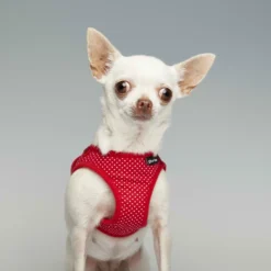 Gloria Pets Arnés / Points Vestimentaires -Trixie Soldes Magasin PT00845 PT00846 PT00847 PT00848 1 637e2eb83f72f scaled