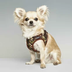 Gloria Pets Robe Harnais / Camouflage 5 Gloria Pets Robe Harnais / Camouflage -Trixie Soldes Magasin PT00850 PT00851 PT00852 PT00853 USO 637cd76456d5d scaled