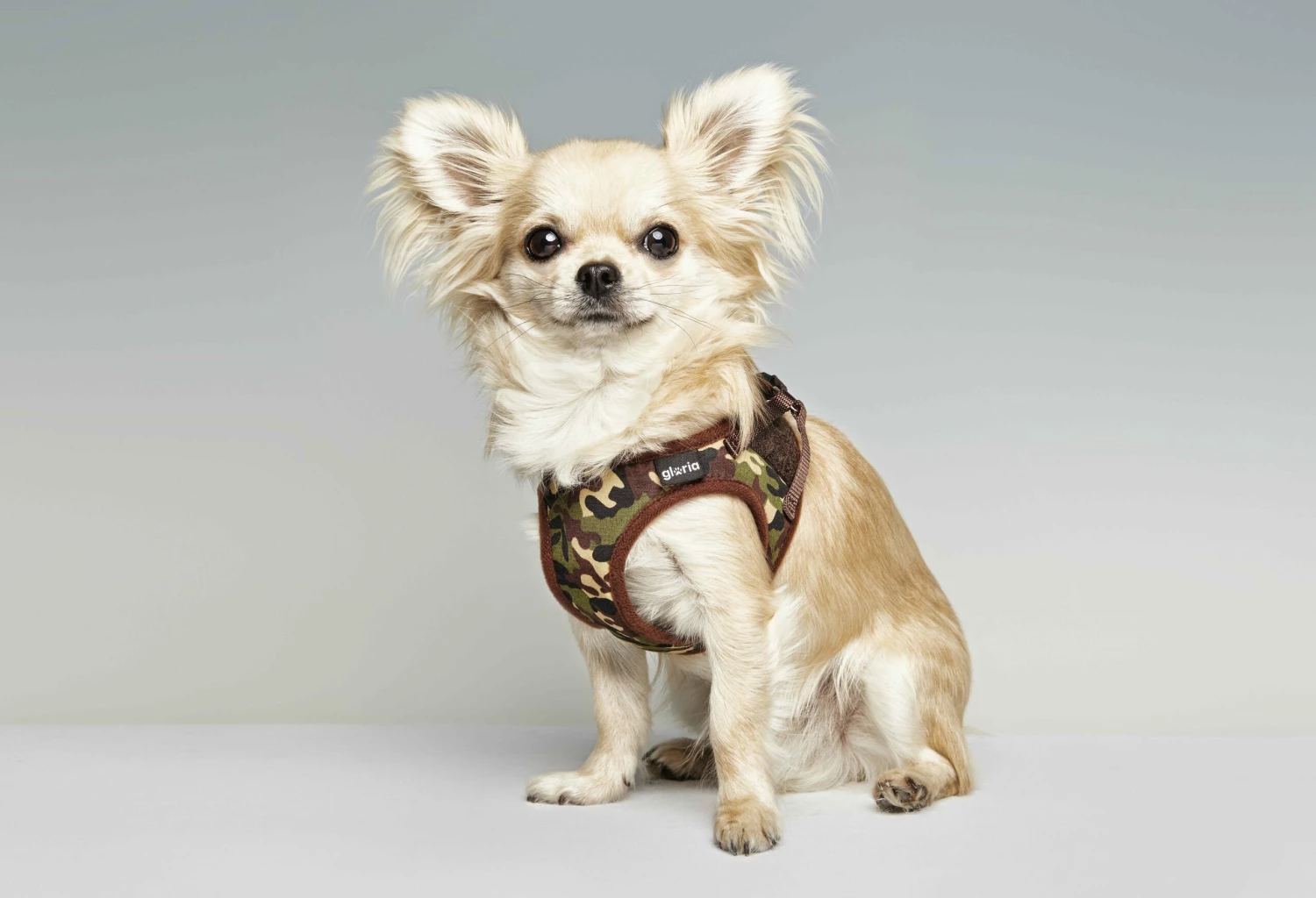 Gloria Pets Robe Harnais / Camouflage 4 Gloria Pets Robe Harnais / Camouflage – Image 2