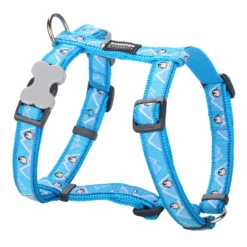 Red Dingo Penguins Bleus De Style Petral