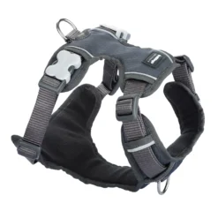 Red Dingo Huile Rembourrée Grise