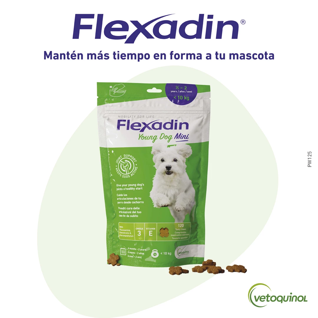 Vetoquinol Vétoquinol Flexadin Suplemento Articular Para Cachorros Mini 4 Vetoquinol Vétoquinol Flexadin Suplemento Articular Para Cachorros Mini – Image 2