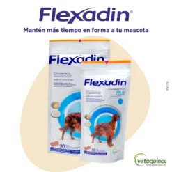 Vetoquinol Vétoquinol Flexadin Plus Pour Chiens Moyenne Et Grande 11 Vetoquinol Vétoquinol Flexadin Plus Pour Chiens Moyenne Et Grande -Trixie Soldes Magasin PW129 CarruselFlexadinPlus medianos grandes 1 638490ebc807f