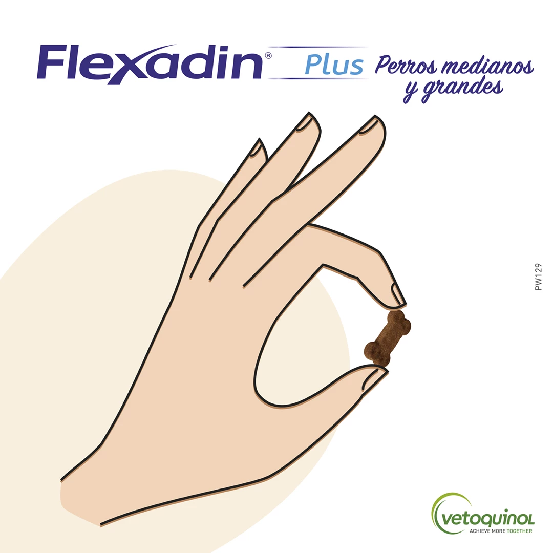 Vetoquinol Vétoquinol Flexadin Plus Pour Chiens Moyenne Et Grande 6 Vetoquinol Vétoquinol Flexadin Plus Pour Chiens Moyenne Et Grande – Image 4