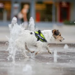 Julius K9 Neon été Harnais Powair 6 Julius K9 Neon été Harnais Powair -Trixie Soldes Magasin Pict 02 new large 62723281a2e38