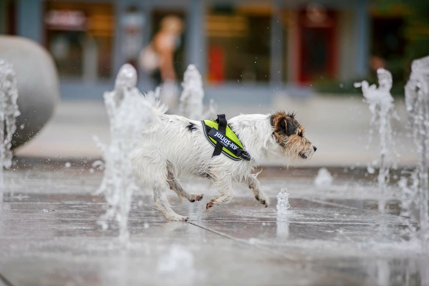 Julius K9 Neon été Harnais Powair 4 Julius K9 Neon été Harnais Powair – Image 2