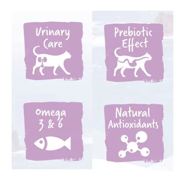 Evoque Sterilised Adult White Fish Tuna & Rice 4 Evoque Sterilised Adult White Fish Tuna & Rice – Image 2