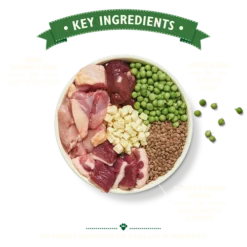 Lily's Kitchen Nourriture Sèche Chicken & Duck 7 Lily's Kitchen Nourriture Sèche Chicken & Duck -Trixie Soldes Magasin Pienso de Pollo Pato y Boniato para Perros 2 64ad26b148b28