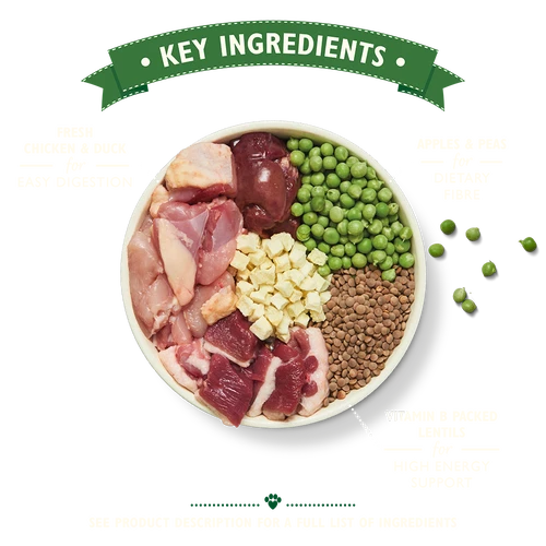 Lily's Kitchen Nourriture Sèche Chicken & Duck 5 Lily's Kitchen Nourriture Sèche Chicken & Duck – Image 3