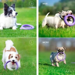 Collar Puller Jouet à Mâcher -Trixie Soldes Magasin Puller comp 62fe1109a1c04