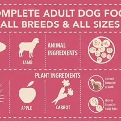 Panzi Puppy Junior Lamb, Apple And Rice -Trixie Soldes Magasin Puppy Junior Cordero Manzana y Arroz 635690c0596fc