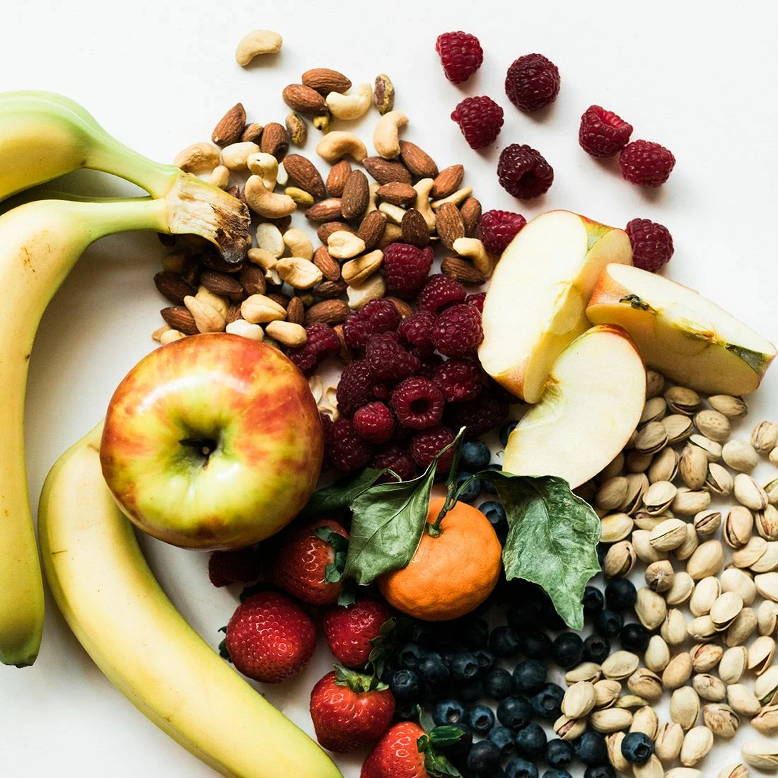 Primordial Nourriture Pour Chiens Adult Cerf Et Dinde 5 Primordial Nourriture Pour Chiens Adult Cerf Et Dinde – Image 3