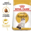 Royal Canin Pienso Ragdoll Adulte Para Gatos -Trixie Soldes Magasin RC FBN Ragdoll MV Eretailkit es ES 62dfcfaa0598b