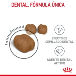 Royal Canin Tourteau Oral Care -Trixie Soldes Magasin RC FCN DentalCare CV 2 es ES 649d6bfb79b54