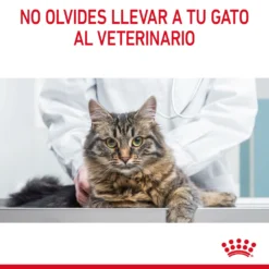 Royal Canin Tourteau Oral Care -Trixie Soldes Magasin RC FCN DentalCare CV 9 es ES 649d6bfb84a1a