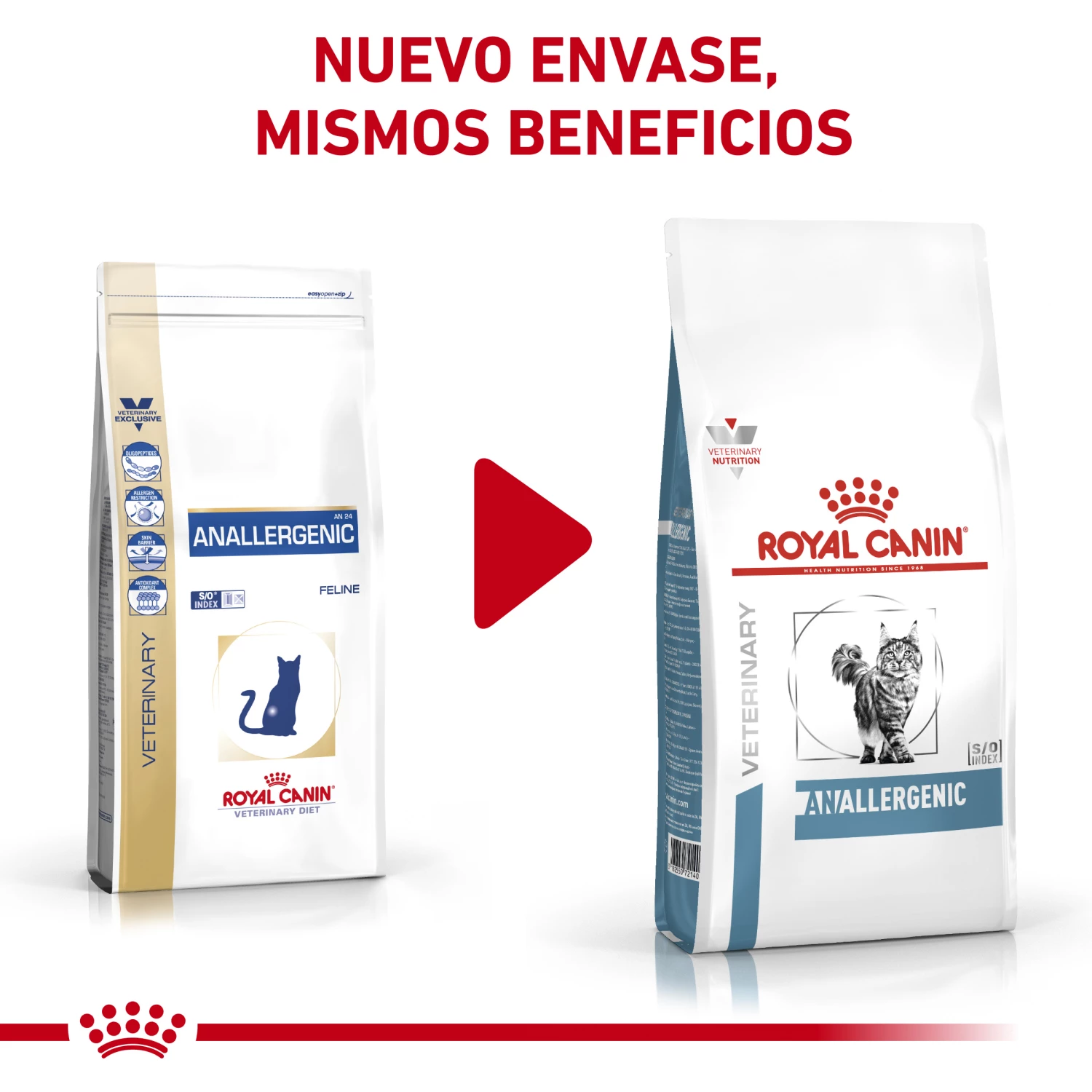 Royal Canin Cat Vétérinaire Régime Nourrir Antiallergiques AN24 4 Royal Canin Cat Vétérinaire Régime Nourrir Antiallergiques AN24 – Image 2