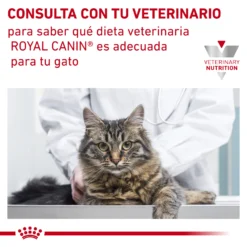 Royal Canin Cat Vétérinaire Régime Nourrir Antiallergiques AN24 17 Royal Canin Cat Vétérinaire Régime Nourrir Antiallergiques AN24 -Trixie Soldes Magasin RC VET DRY CatAna CV Eretailkit 7 es ES 62fcdfd06ad76