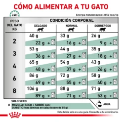 Royal Canin Tourteau Diabetic -Trixie Soldes Magasin RC VET DRY CatDiabetic CV Eretailkit 6 es ES 62fce76430f9d