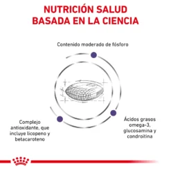 Royal Canin Nourriture Senior Consult Stage 1 -Trixie Soldes Magasin RC VET DRY CatMatCons CV 3 es ES 62fce28df1325