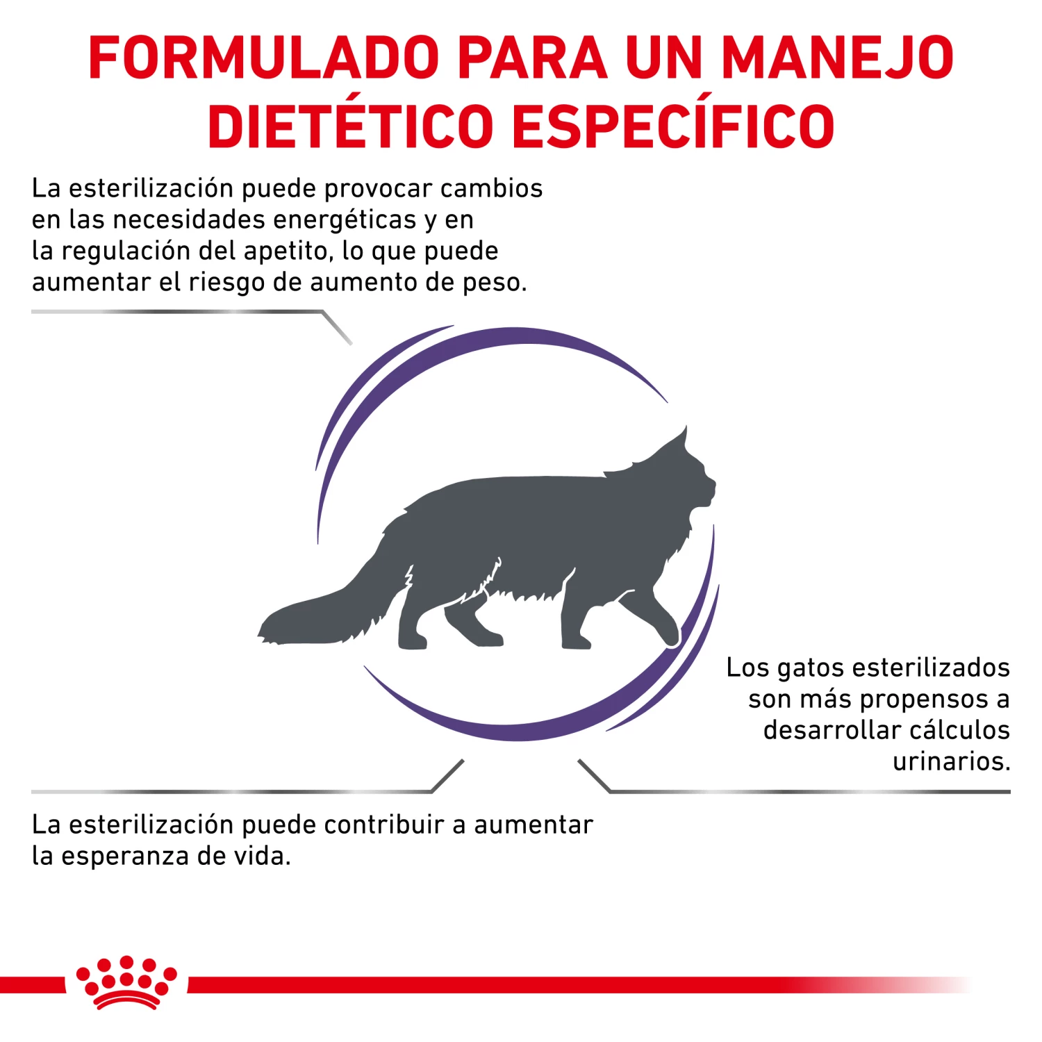 Royal Canin Nourriture Neutered Satiety Balance 5 Royal Canin Nourriture Neutered Satiety Balance – Image 3