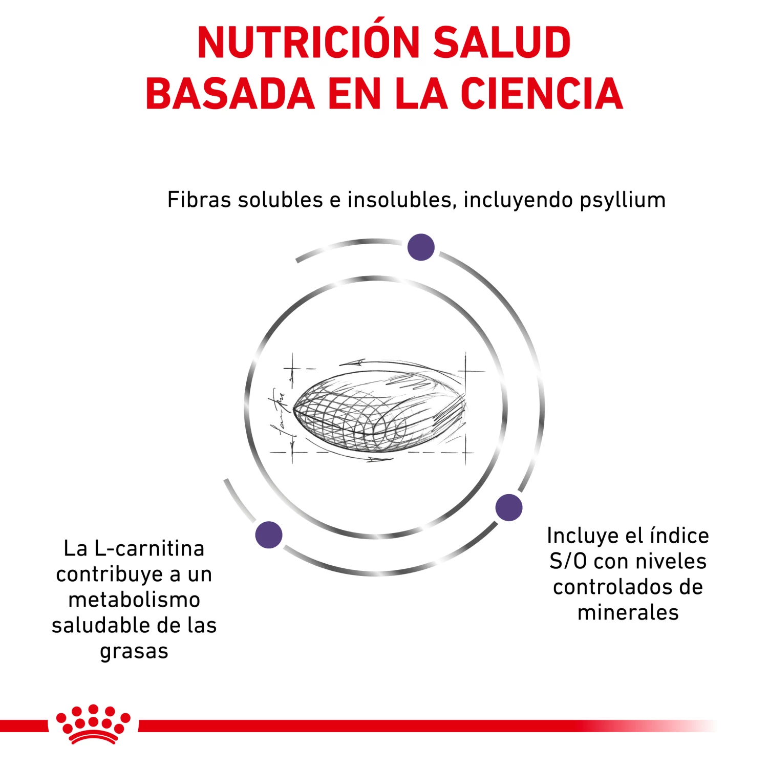 Royal Canin Nourriture Neutered Satiety Balance 6 Royal Canin Nourriture Neutered Satiety Balance – Image 4