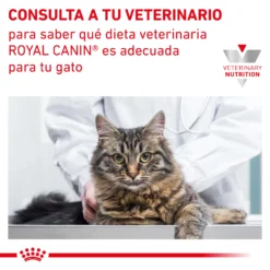 Royal Canin Nourriture Neutered Satiety Balance 21 Royal Canin Nourriture Neutered Satiety Balance -Trixie Soldes Magasin RC VET DRY CatNeutSatBal CV 9 es ES 62fce304422d8