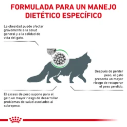 Royal Canin Nourriture Satiety Support Feline 16 Royal Canin Nourriture Satiety Support Feline -Trixie Soldes Magasin RC VET DRY CatSatietyWM CV Eretailkit 2 es ES 62fce79057f93