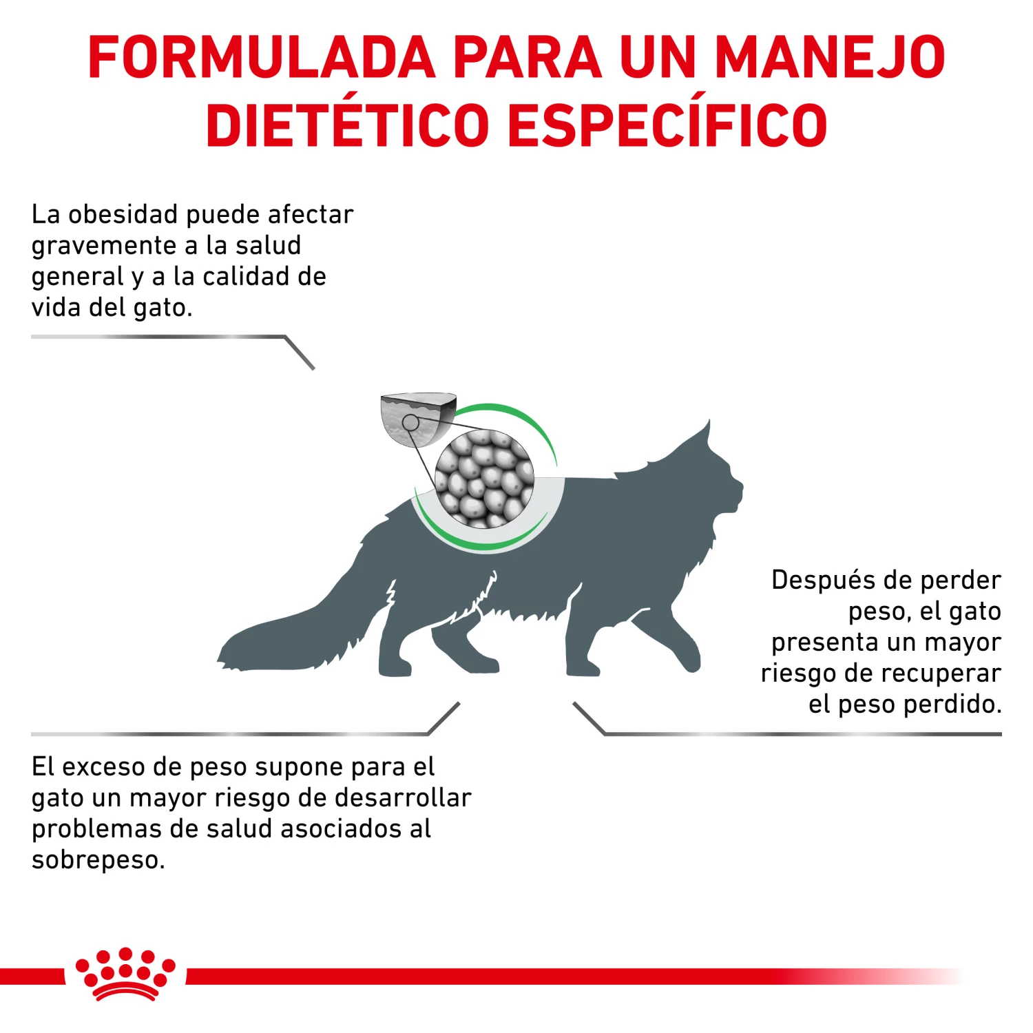 Royal Canin Nourriture Satiety Support Feline 6 Royal Canin Nourriture Satiety Support Feline – Image 4