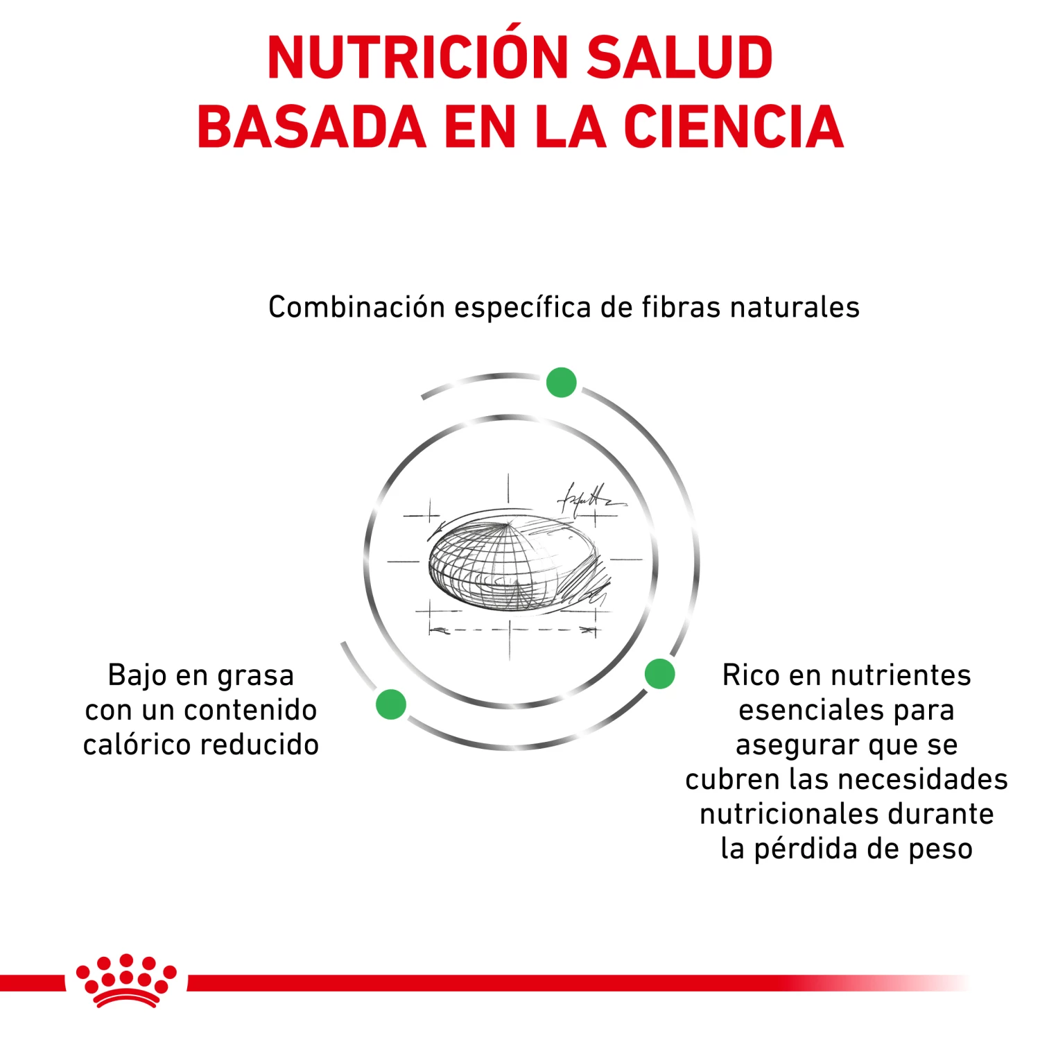 Royal Canin Nourriture Satiety Support Feline 7 Royal Canin Nourriture Satiety Support Feline – Image 5