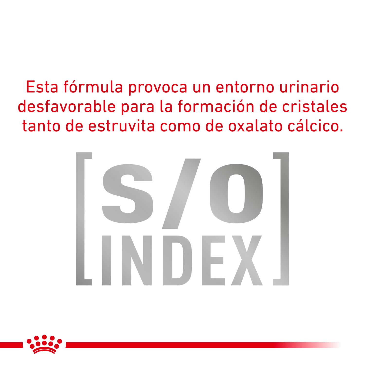 Royal Canin Nourriture Satiety Support Feline 9 Royal Canin Nourriture Satiety Support Feline – Image 7