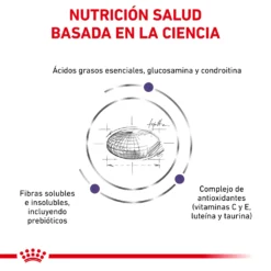 Royal Canin Nourriture Adult Large Dog -Trixie Soldes Magasin RC VET DRY DogADLD CV 3 es ES 62fcc38ea0c53